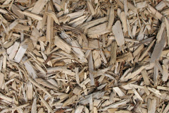 biomass boilers Coedely