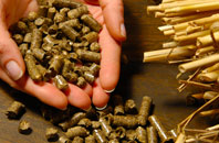 free Coedely biomass boiler quotes